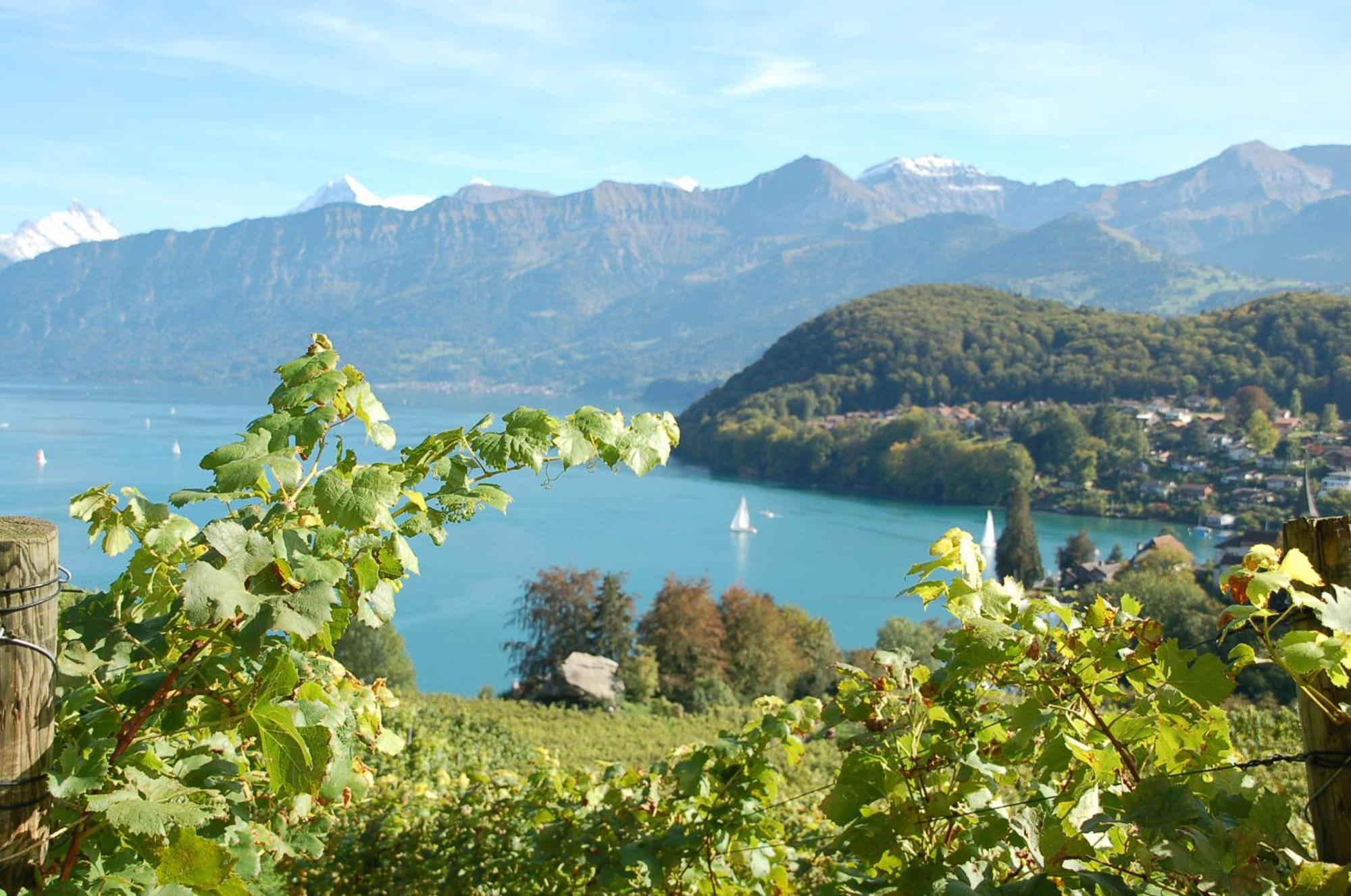 Hotel Seaside Spiez Bagian luar foto