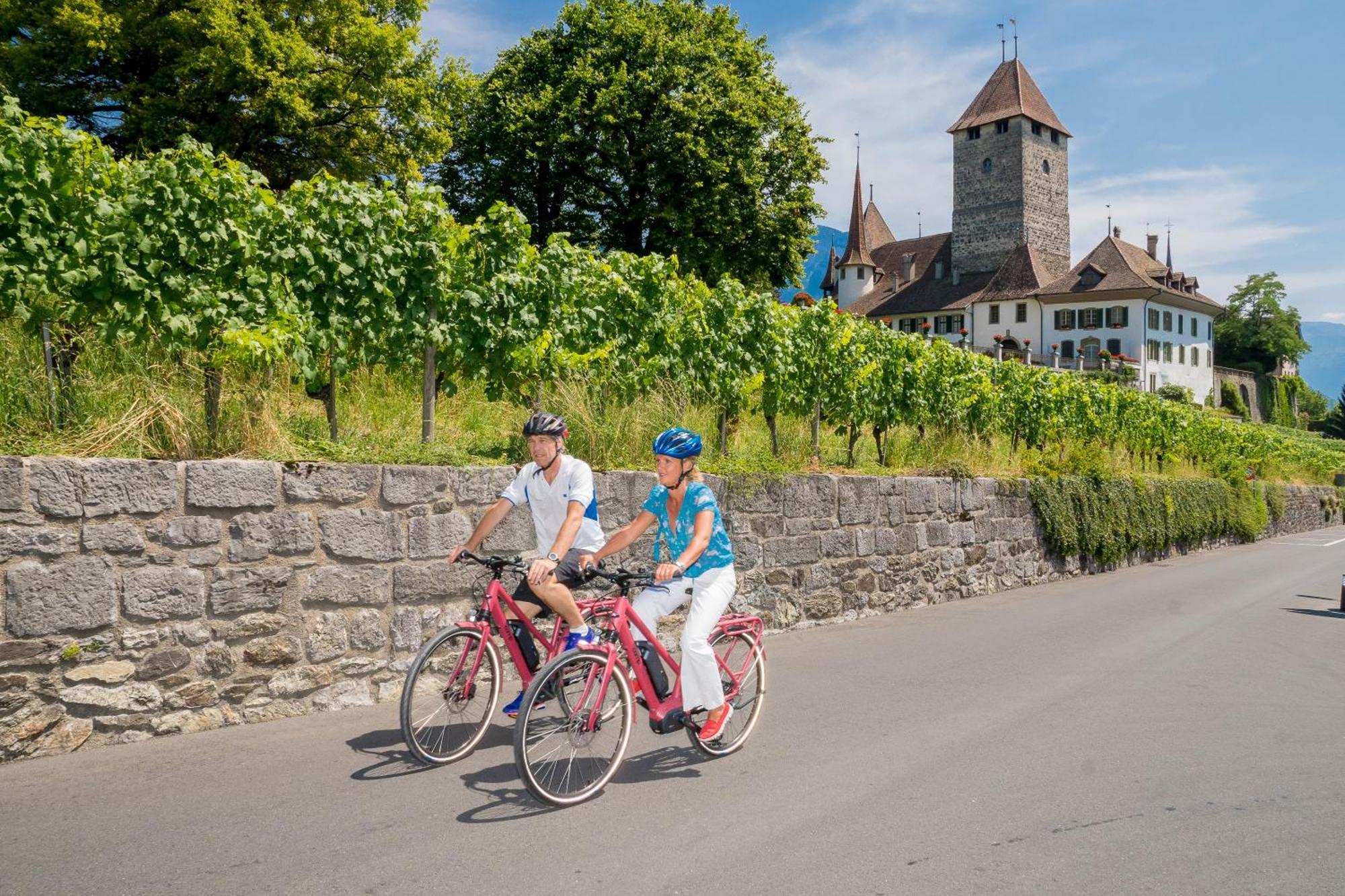 Hotel Seaside Spiez Bagian luar foto