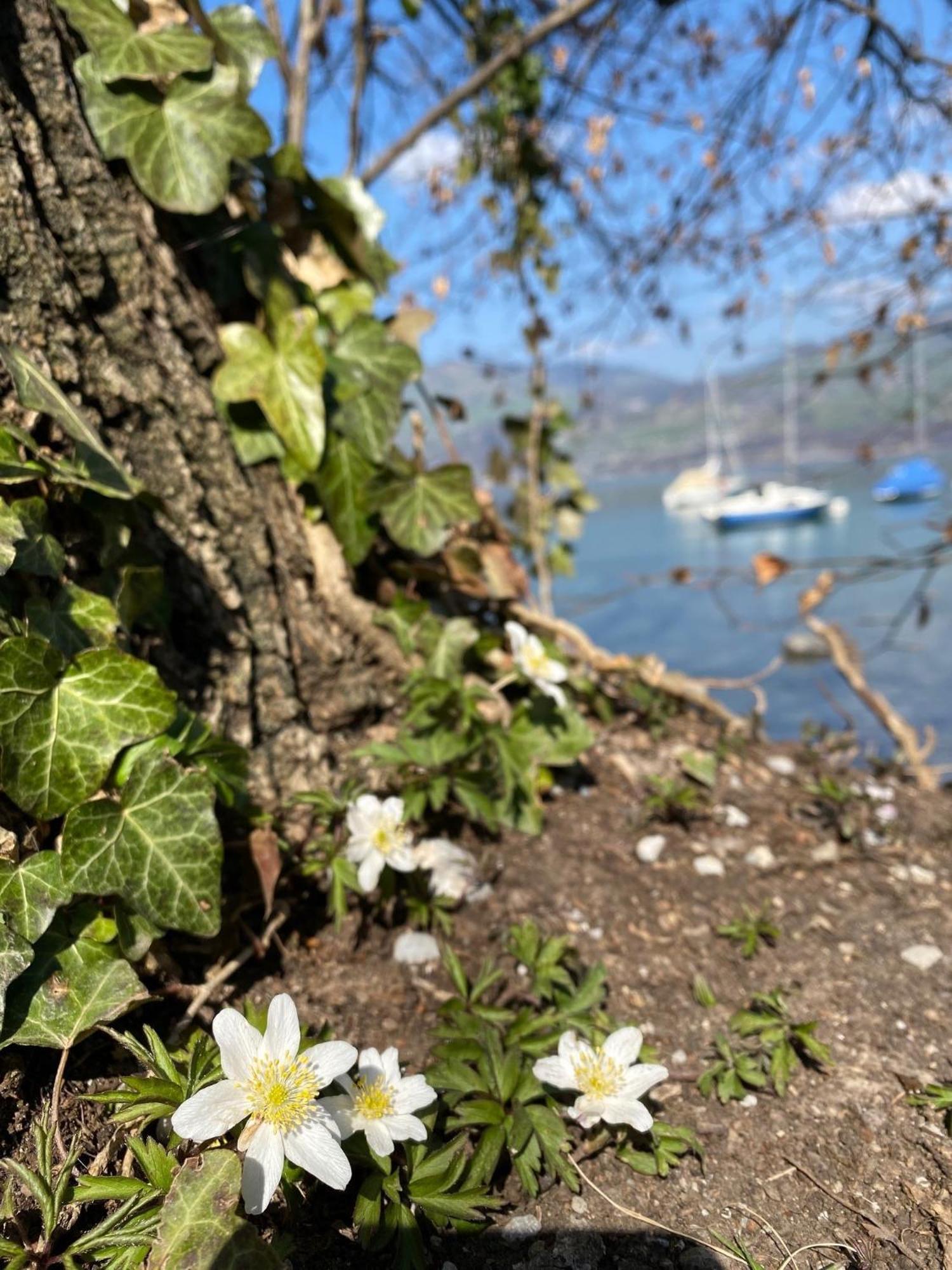 Hotel Seaside Spiez Bagian luar foto